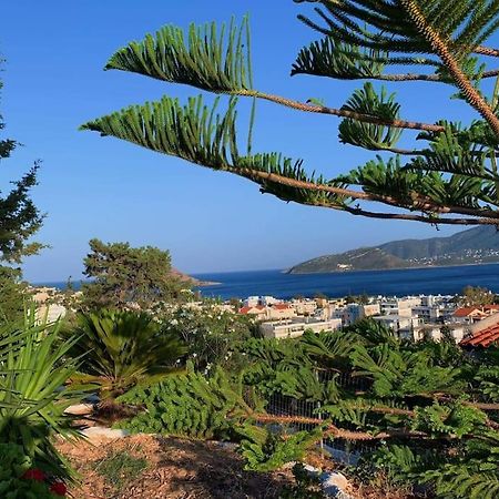 Studio With Unique View Near The Beach! Πόρτο Ράφτη Εξωτερικό φωτογραφία
